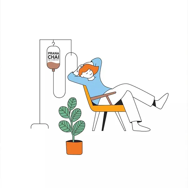 Prana Chai, Original Masala Blend 1kg - Image 3